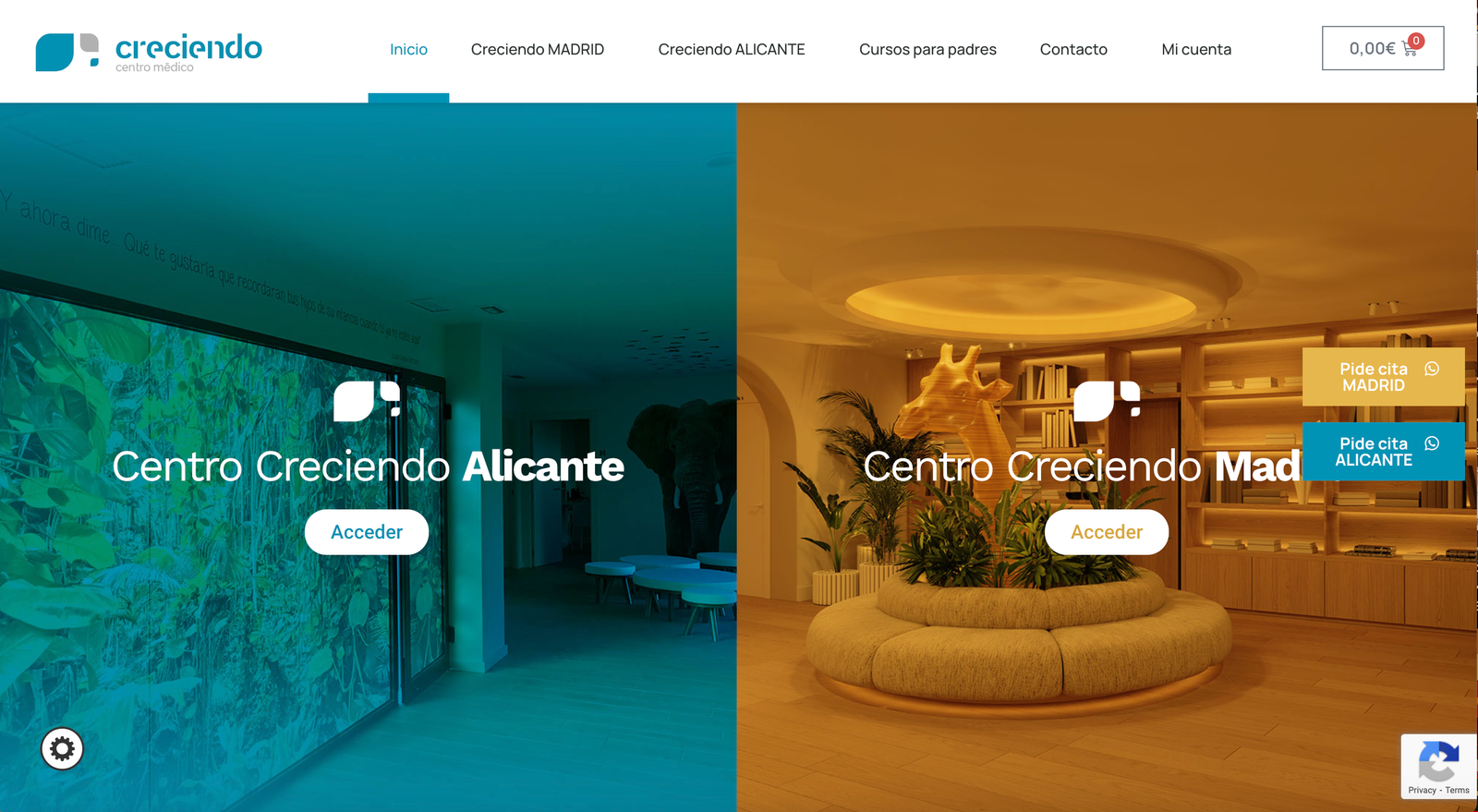 Diseño web para centros medicos Alicante